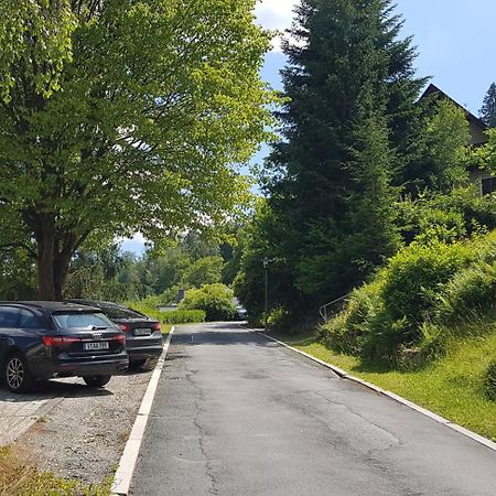 Villa Goldbrunnen Ferienwohnung 3 Bad Elster Ngoại thất bức ảnh